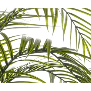 Areca palm UV Verde H175